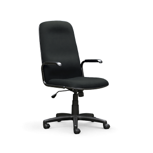 Inyathi High back armchair